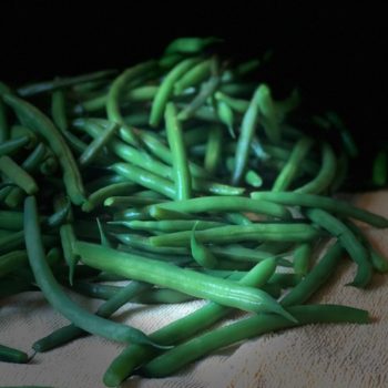Preserving Green Beans!