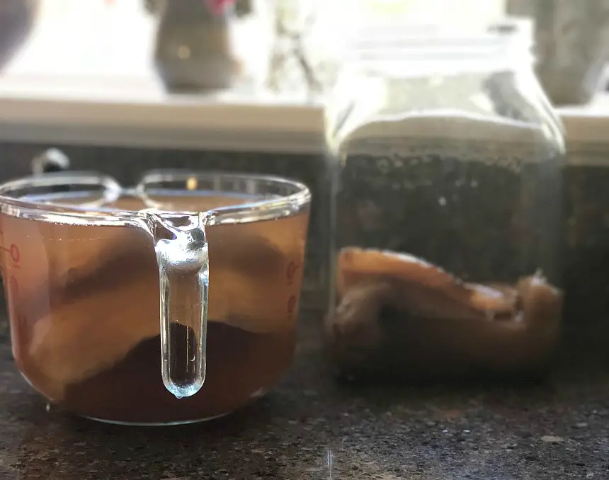 Kombucha Kraziness! How To Make With The Continuous Brew Method