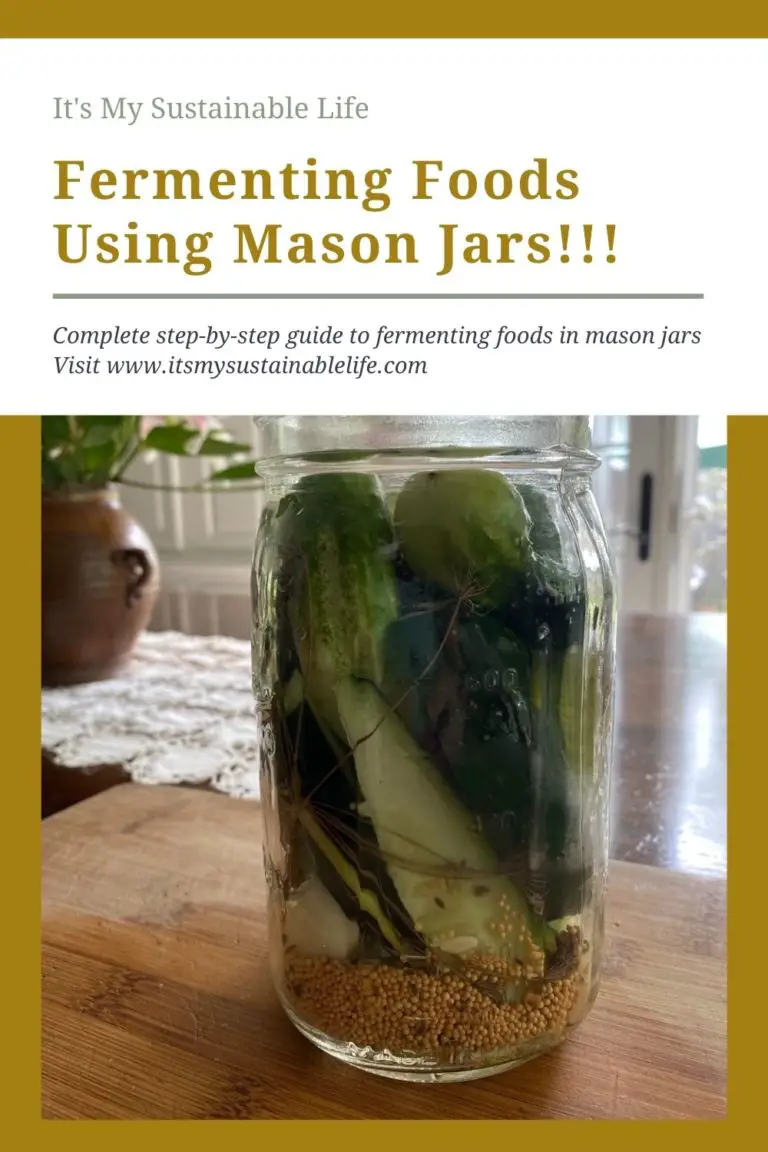 Fermenting Food In A Mason Jar