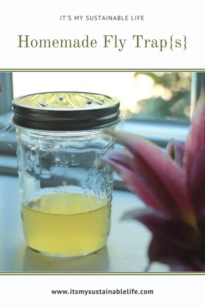 How to Create a DIY Outdoor Sticky Fly Trap