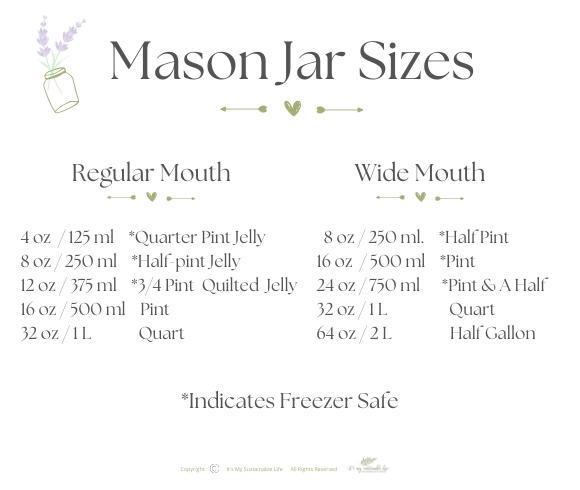 https://www.itsmysustainablelife.com/wp-content/uploads/2022/03/Marson-Jar-Sizes-Selecting-The-Right-One.jpg