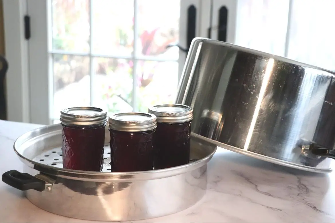 Canning 101: Should You Use a Steam Canner? – Food in Jars